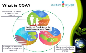 Climate Smart Agriculture - implementation in crop-livestock farming systems
