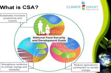 Climate Smart Agriculture - implementation in crop-livestock farming systems